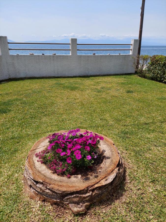 Pelion Holiday home Platanidia