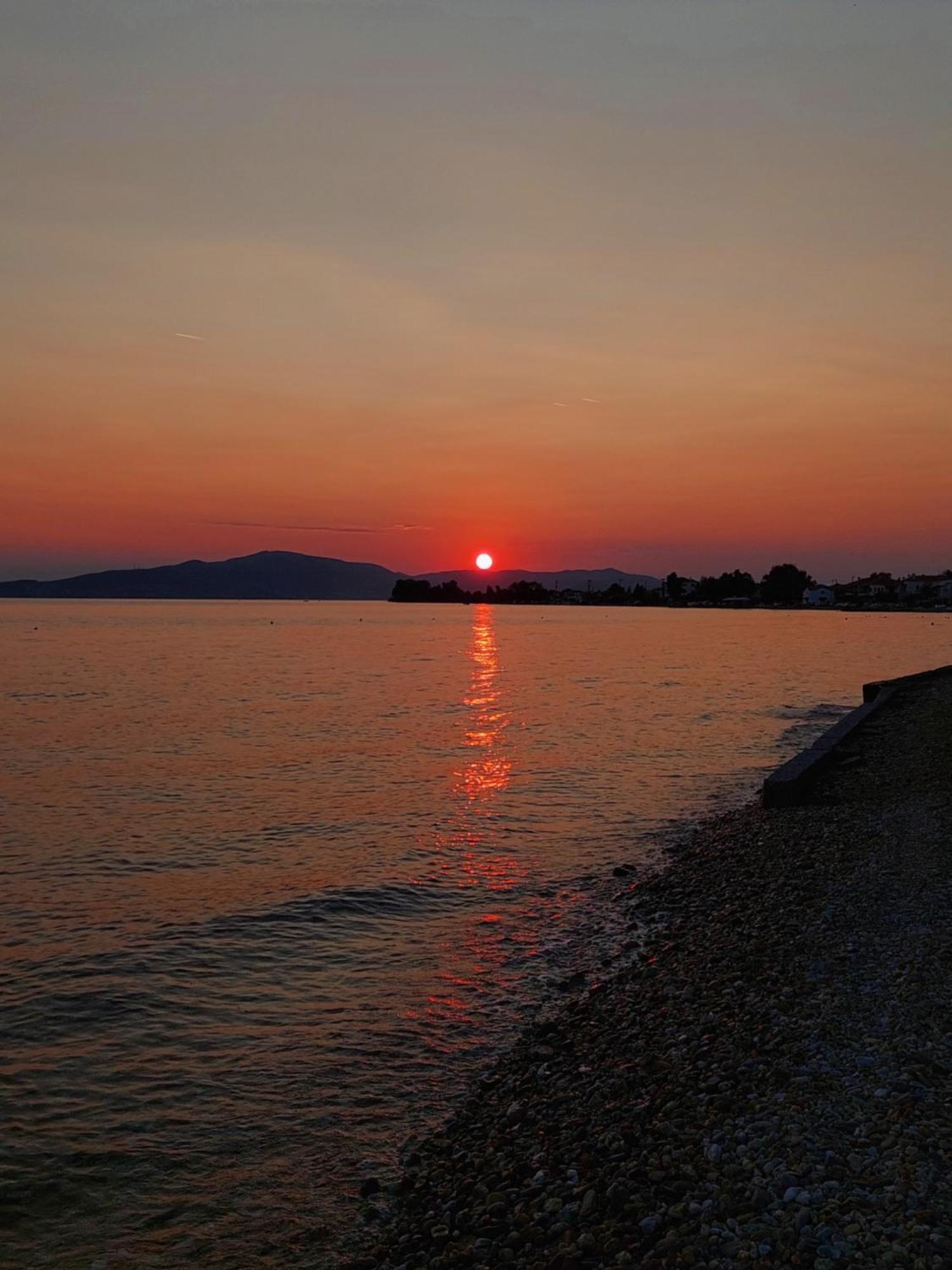 Pelion *