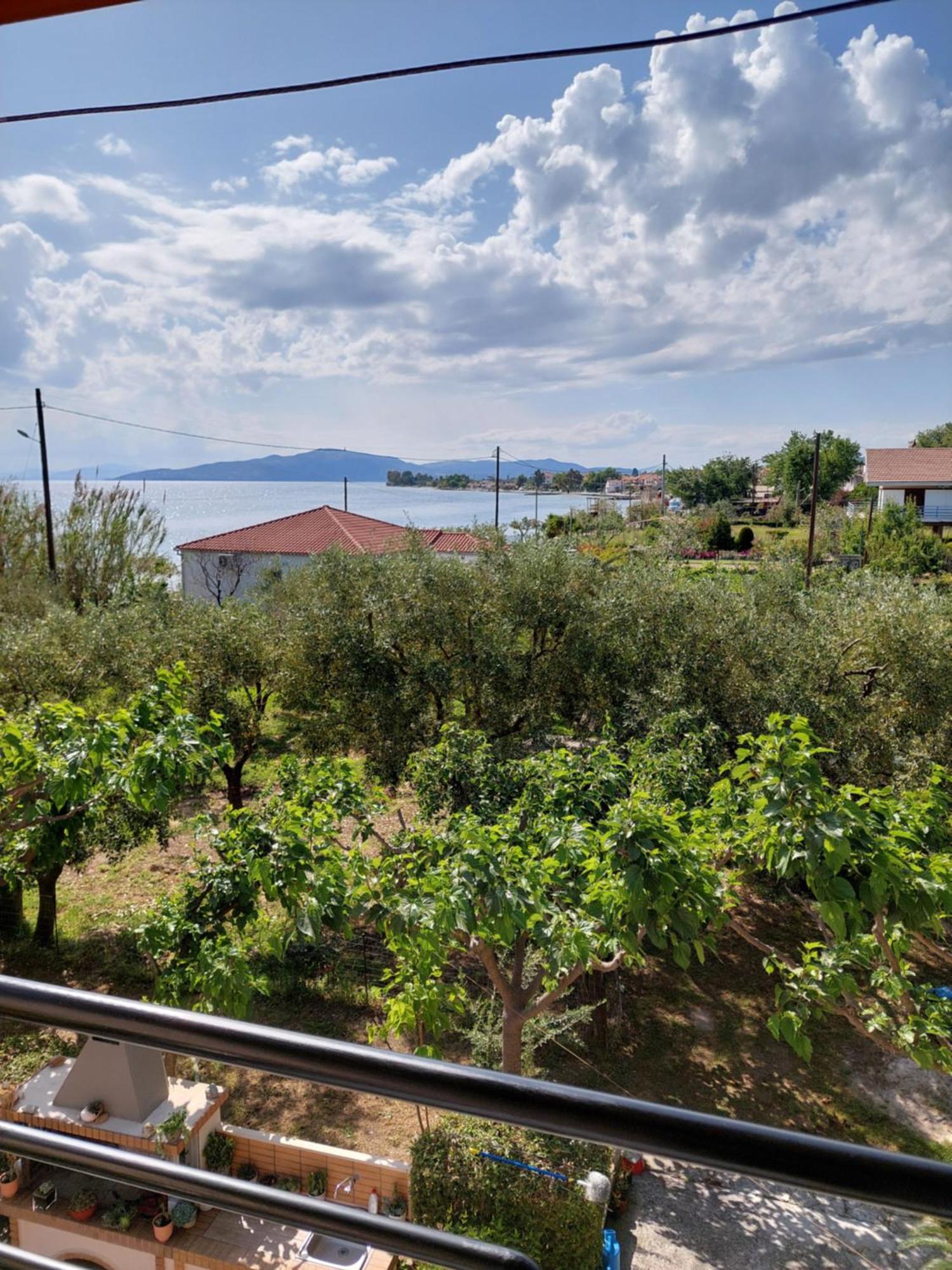 Pelion