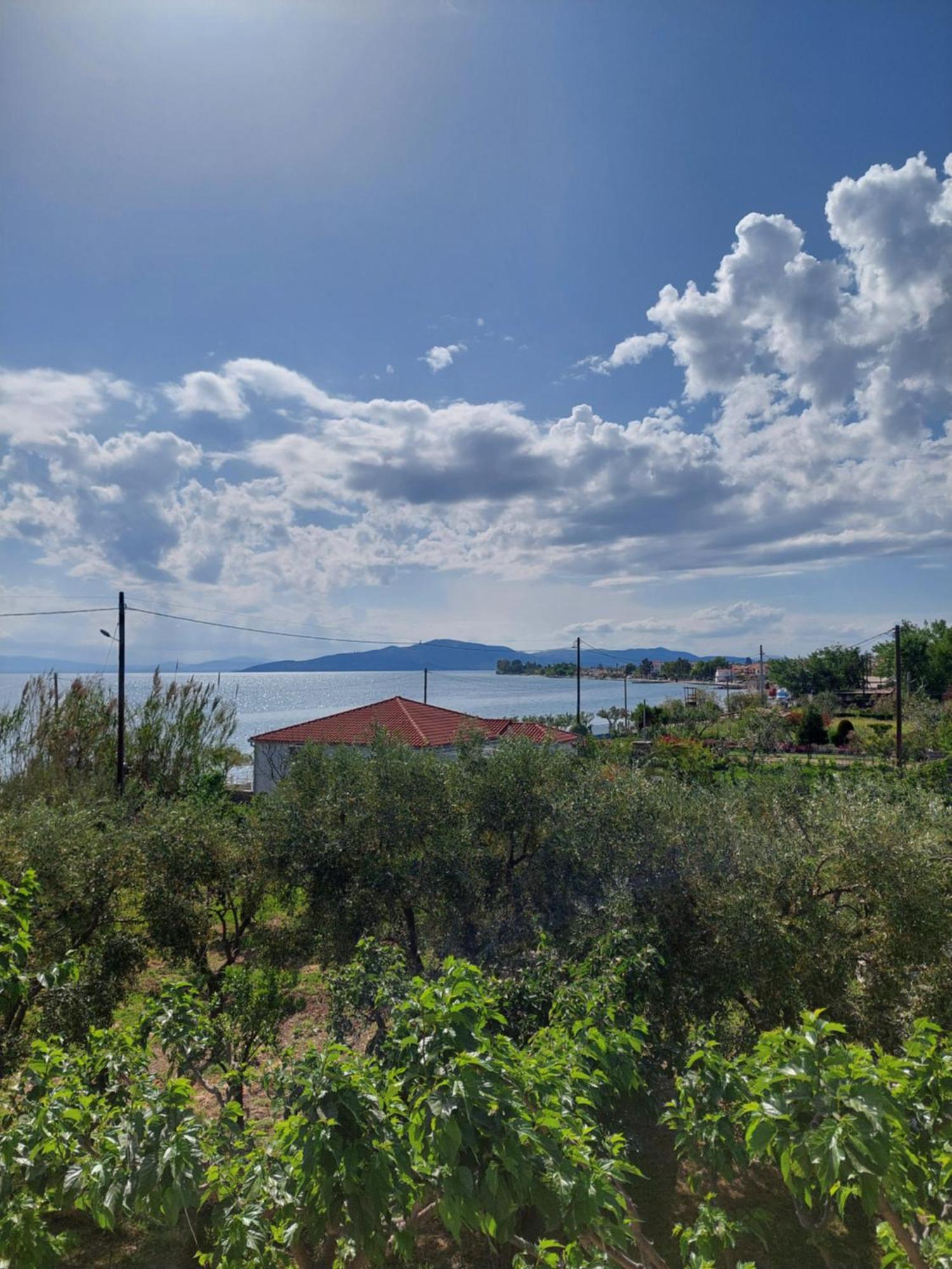 Pelion Holiday home